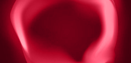 section5c